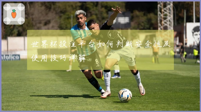 世界杯投注平台如何判断安全性及使用技巧详解