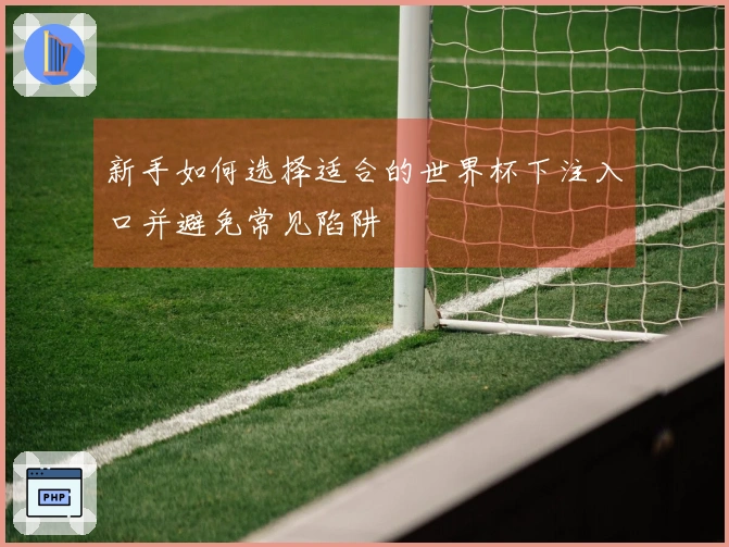 新手如何选择适合的世界杯下注入口并避免常见陷阱