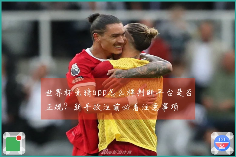 世界杯竞猜app怎么样判断平台是否正规？新手投注前必看注意事项
