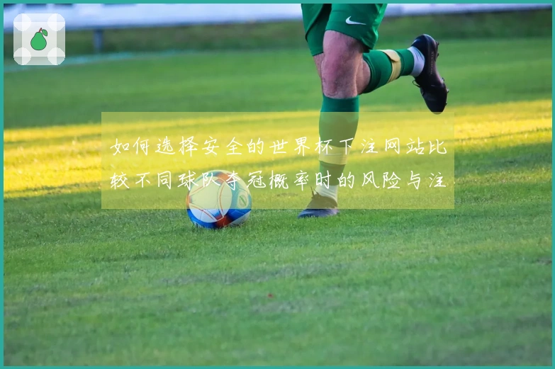 如何选择安全的世界杯下注网站比较不同球队夺冠概率时的风险与注意事项
