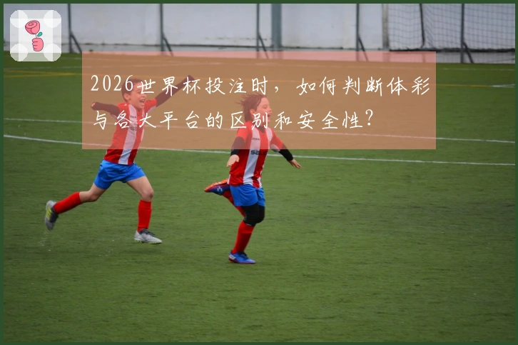 2026世界杯投注时，如何判断体彩与各大平台的区别和安全性？