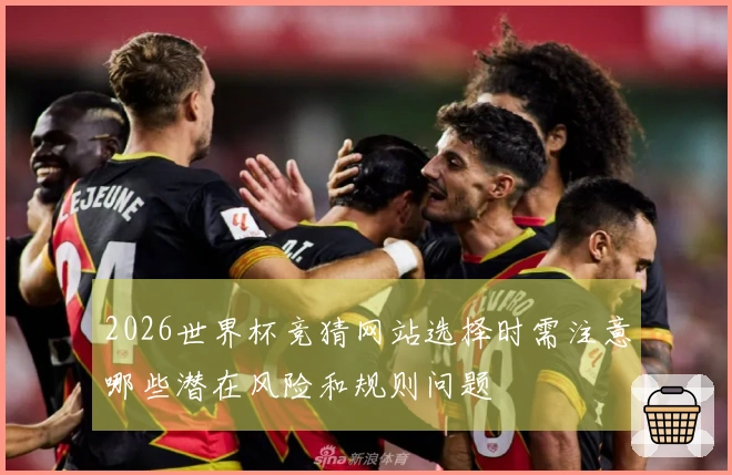 2026世界杯竞猜网站选择时需注意哪些潜在风险和规则问题