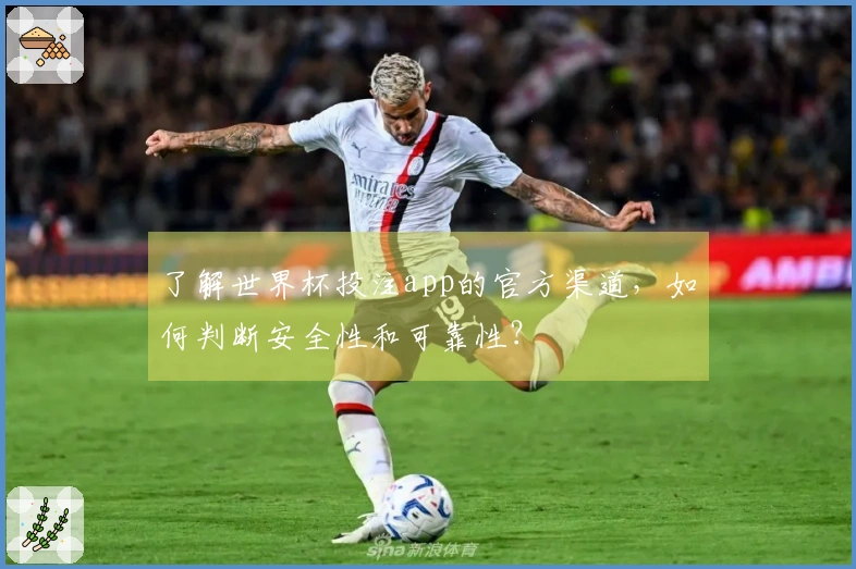 了解世界杯投注app的官方渠道，如何判断安全性和可靠性？