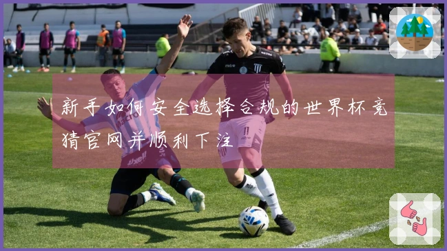 新手如何安全选择合规的世界杯竞猜官网并顺利下注