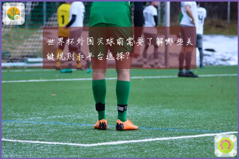 世界杯外围买球前需要了解哪些关键规则和平台选择？