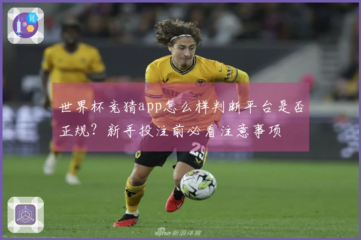 世界杯竞猜app怎么样判断平台是否正规？新手投注前必看注意事项