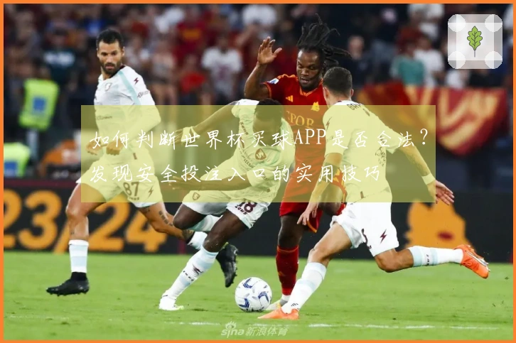 如何判断世界杯买球APP是否合法？发现安全投注入口的实用技巧