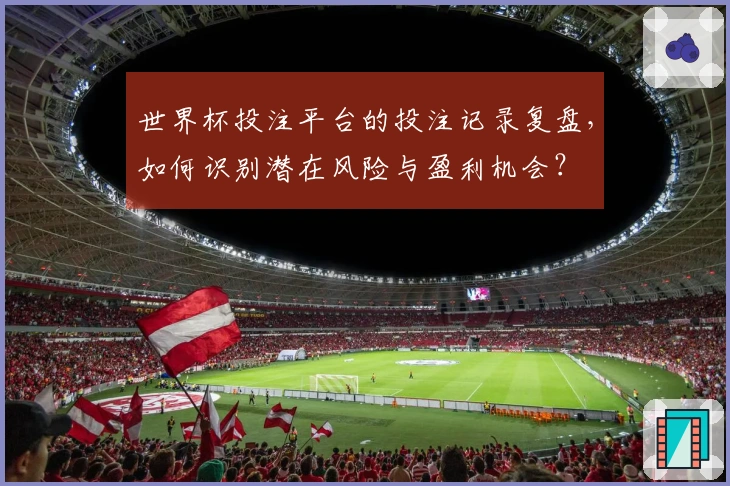 世界杯投注平台的投注记录复盘，如何识别潜在风险与盈利机会？