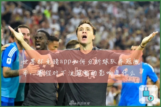 世界杯竞猜app如何分析球队夺冠概率，赛程对下注策略的影响是什么？