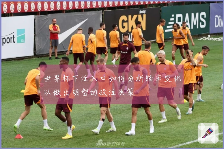 世界杯下注入口如何分析赔率变化以做出明智的投注决策