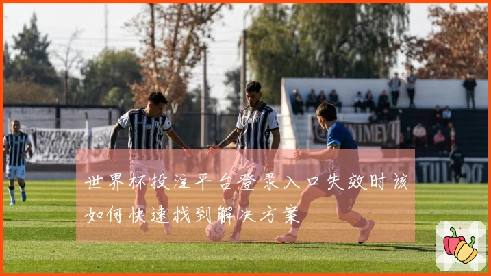 世界杯投注平台登录入口失效时该如何快速找到解决方案