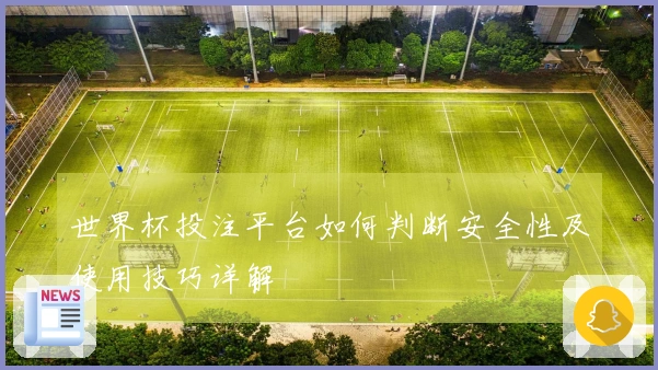 世界杯投注平台如何判断安全性及使用技巧详解