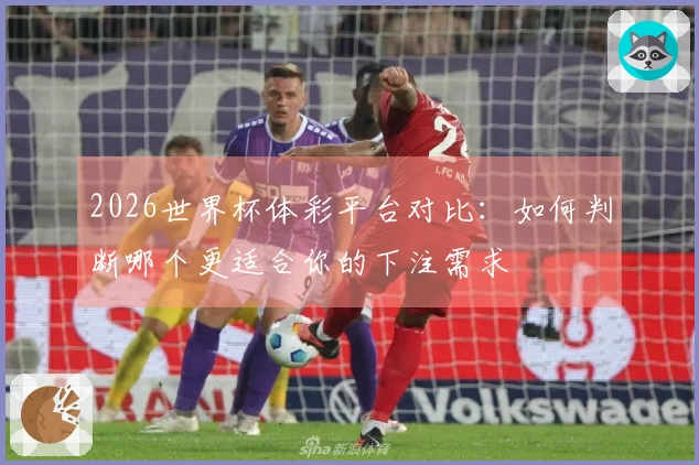 2026世界杯体彩平台对比：如何判断哪个更适合你的下注需求
