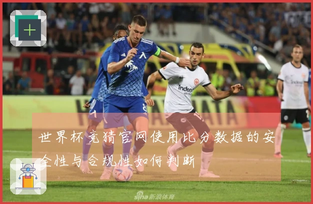 世界杯竞猜官网使用比分数据的安全性与合规性如何判断