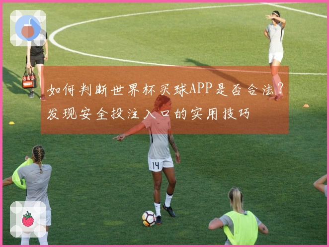 如何判断世界杯买球APP是否合法？发现安全投注入口的实用技巧