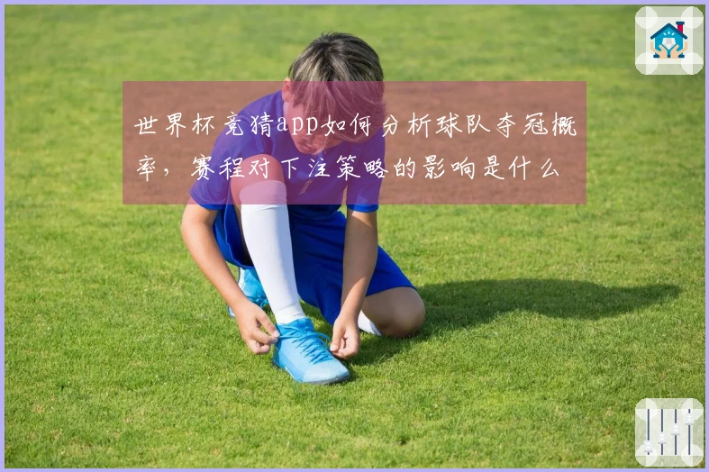 世界杯竞猜app如何分析球队夺冠概率，赛程对下注策略的影响是什么？