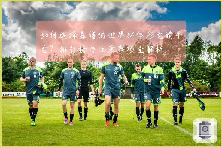 如何选择靠谱的世界杯体彩竞猜平台？排行榜与注意事项全解析