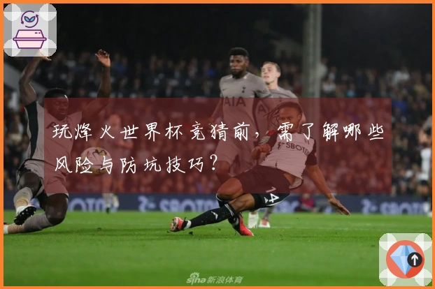 玩烽火世界杯竞猜前，需了解哪些风险与防坑技巧？