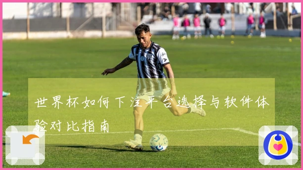 世界杯如何下注平台选择与软件体验对比指南