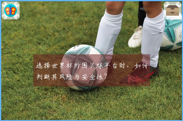 选择世界杯外围买球平台时，如何判断其风险与安全性？