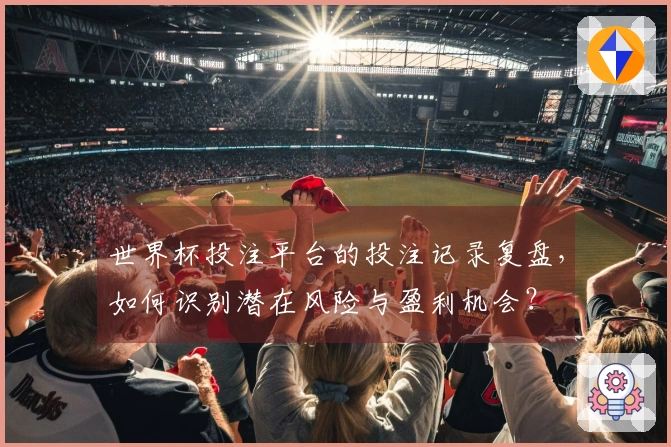 世界杯投注平台的投注记录复盘，如何识别潜在风险与盈利机会？