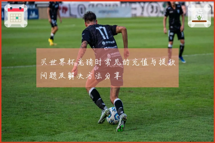 买世界杯竞猜时常见的充值与提款问题及解决方法分享
