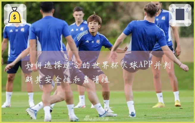 如何选择适合的世界杯买球APP并判断其安全性和靠谱性